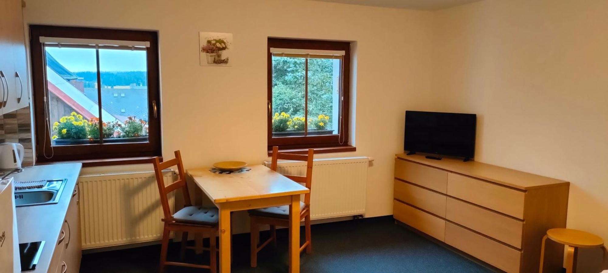Apartmany Na Namesti Boží Dar Kültér fotó